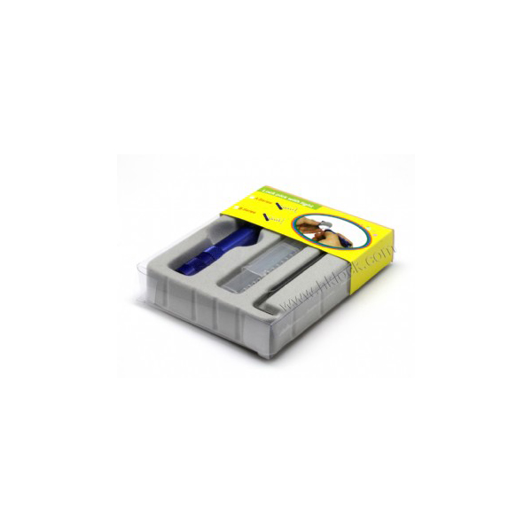 Lock Pick with Light (A)